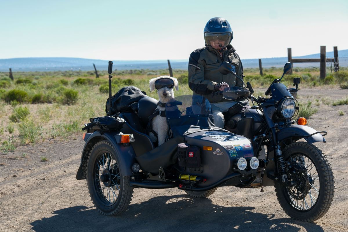 Max seated on Kalinka with Gnocchi in the sidecar.